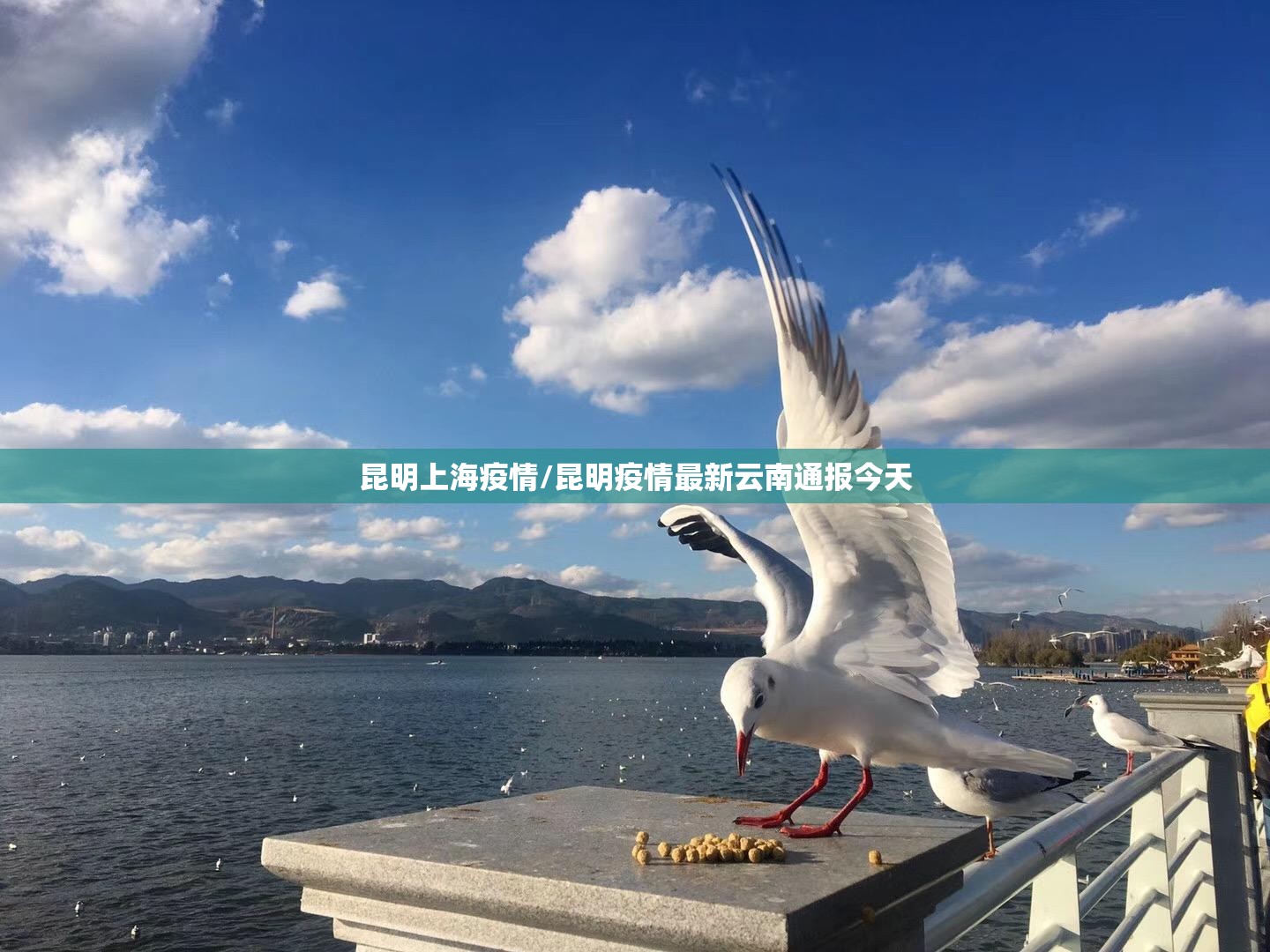 昆明上海疫情/昆明疫情最新云南通报今天
