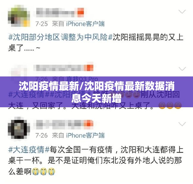 沈阳疫情最新/沈阳疫情最新数据消息今天新增