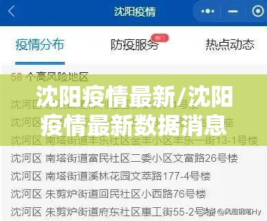 沈阳疫情最新/沈阳疫情最新数据消息今天新增