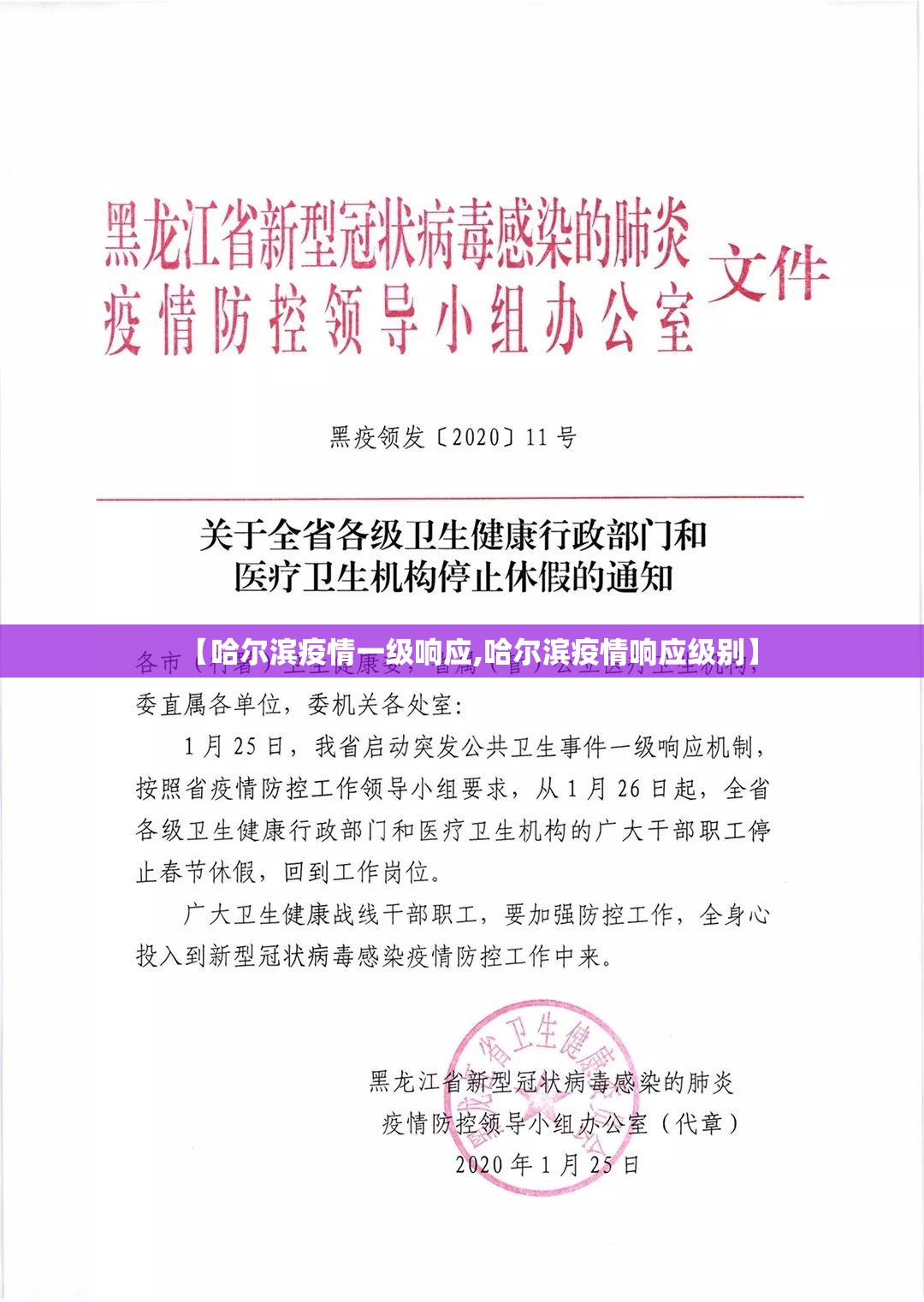 【哈尔滨疫情一级响应,哈尔滨疫情响应级别】