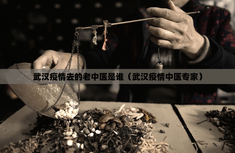 武汉疫情去的老中医是谁（武汉疫情中医专家）