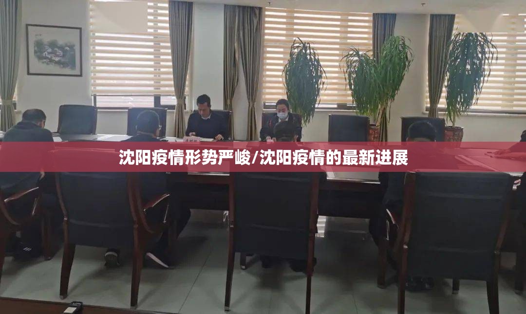 沈阳疫情形势严峻/沈阳疫情的最新进展