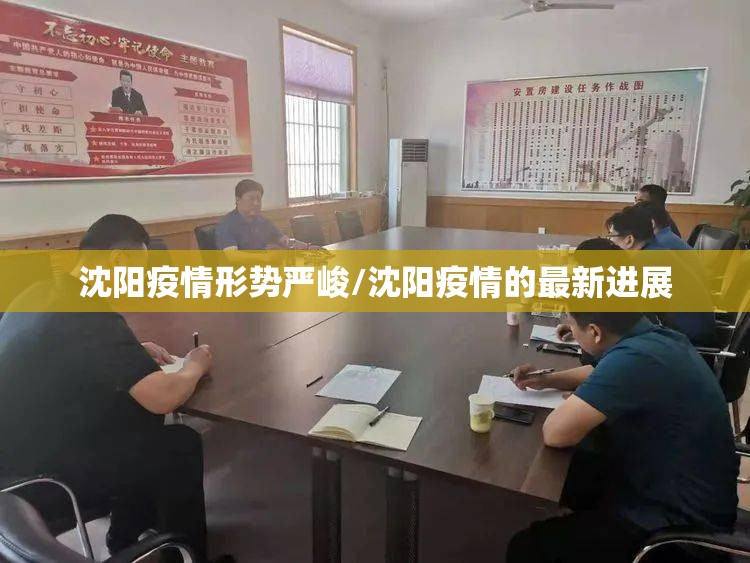 沈阳疫情形势严峻/沈阳疫情的最新进展