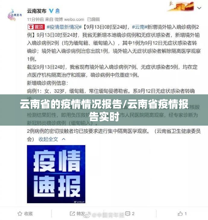 云南省的疫情情况报告/云南省疫情报告实时