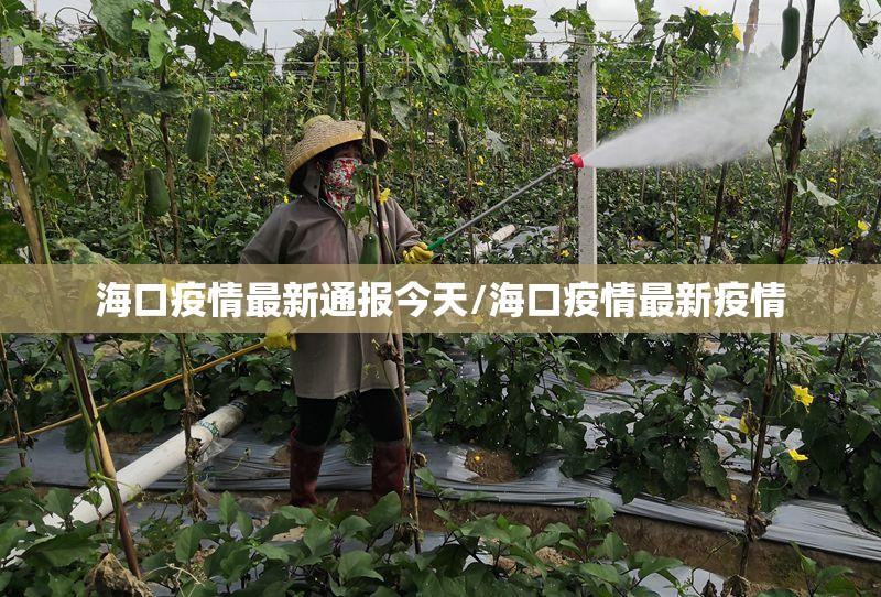海口疫情最新通报今天/海口疫情最新疫情
