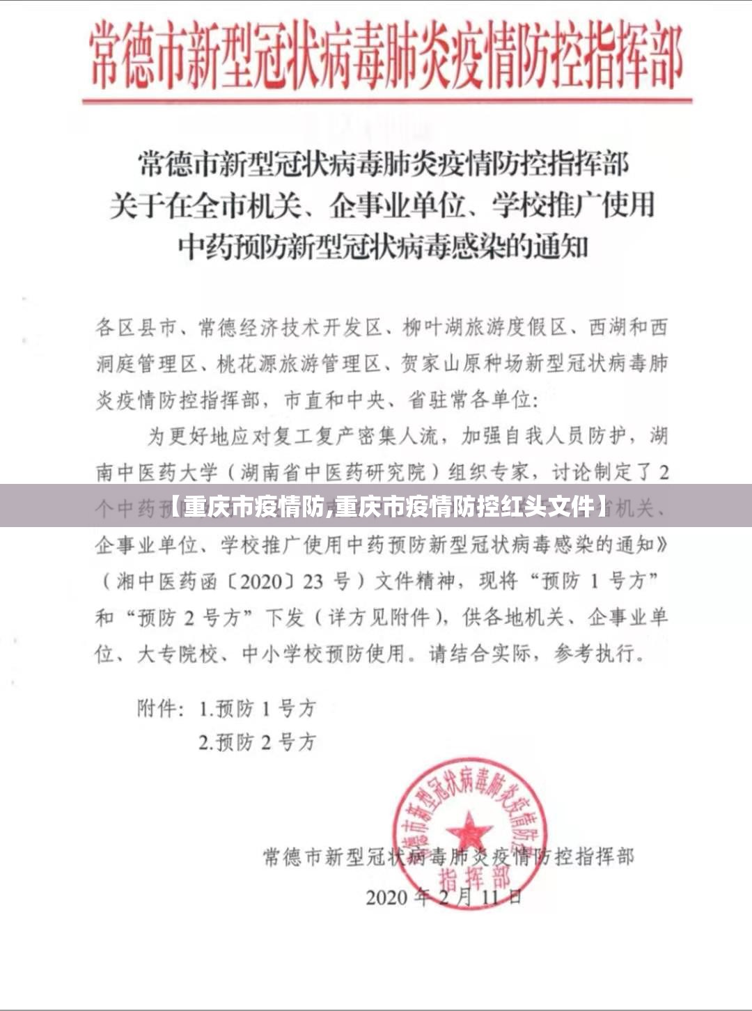 【重庆市疫情防,重庆市疫情防控红头文件】
