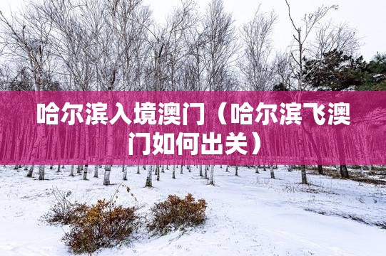 哈尔滨入境澳门（哈尔滨飞澳门如何出关）