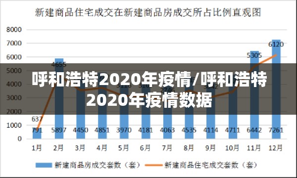 呼和浩特2020年疫情/呼和浩特2020年疫情数据
