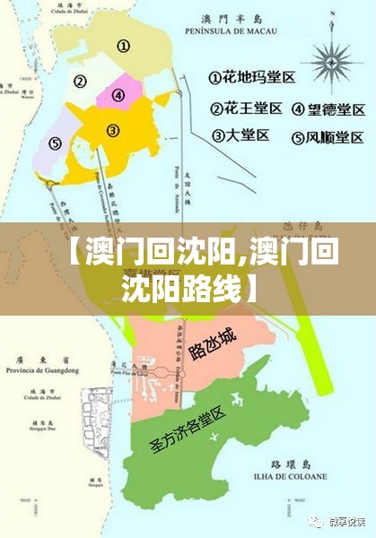 【澳门回沈阳,澳门回沈阳路线】