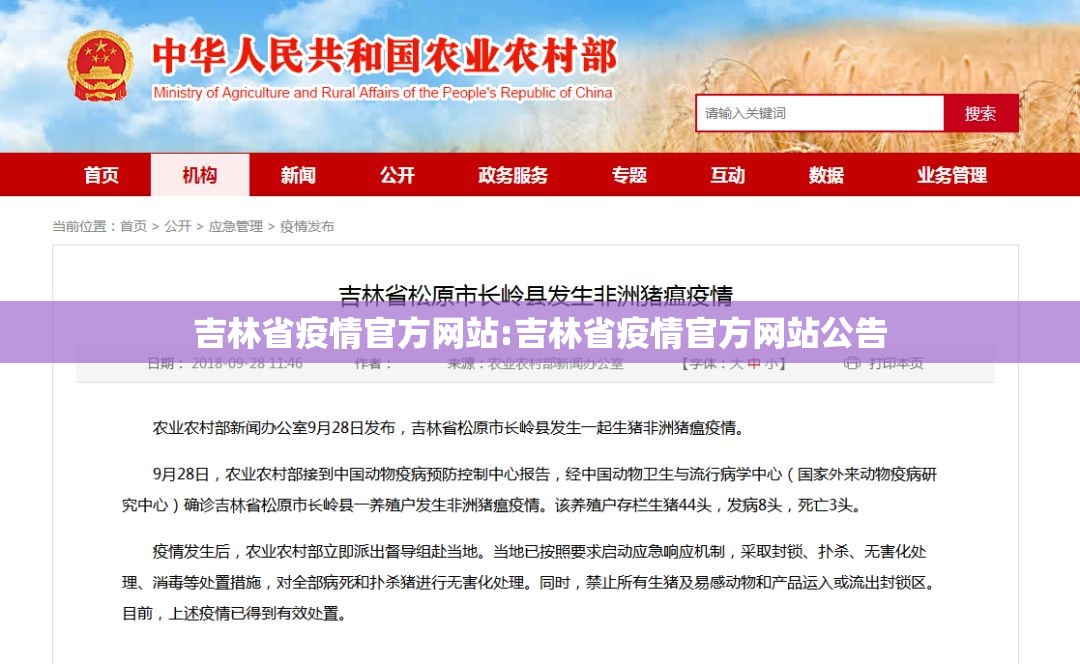 吉林省疫情官方网站:吉林省疫情官方网站公告