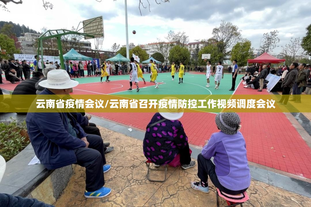 云南省疫情会议/云南省召开疫情防控工作视频调度会议