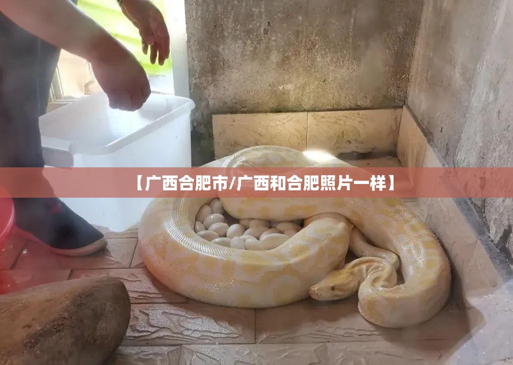 【广西合肥市/广西和合肥照片一样】