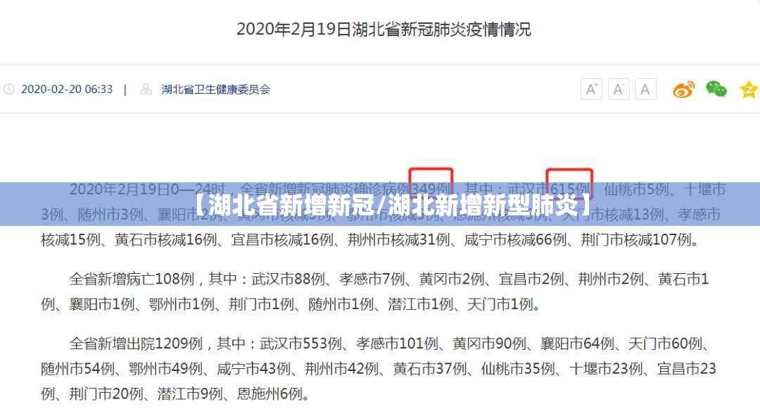 【湖北省新增新冠/湖北新增新型肺炎】