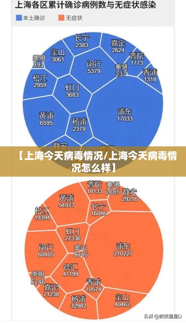 【上海今天病毒情况/上海今天病毒情况怎么样】