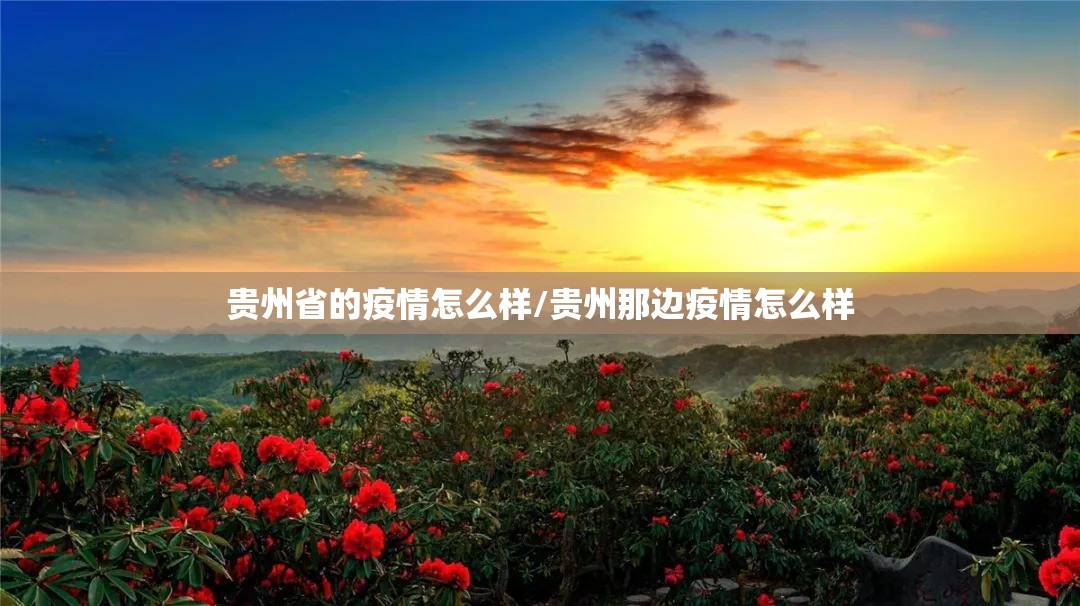 贵州省的疫情怎么样/贵州那边疫情怎么样