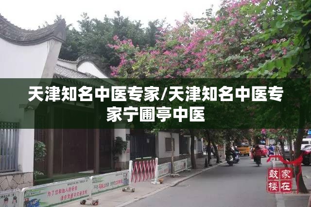 天津知名中医专家/天津知名中医专家宁圃亭中医