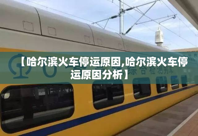 【哈尔滨火车停运原因,哈尔滨火车停运原因分析】