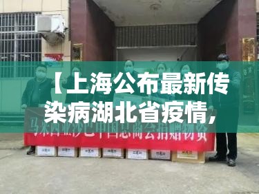 【上海公布最新传染病湖北省疫情,上海武汉疫情】