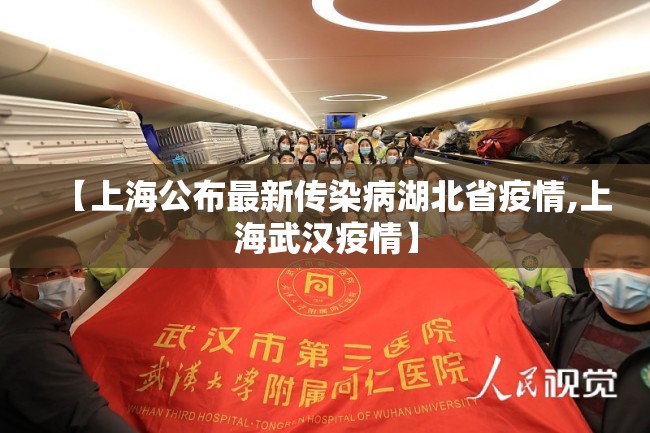 【上海公布最新传染病湖北省疫情,上海武汉疫情】