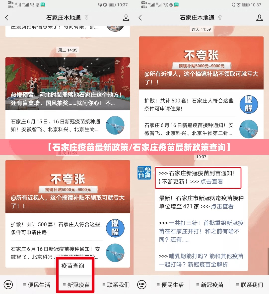 【石家庄疫苗最新政策/石家庄疫苗最新政策查询】