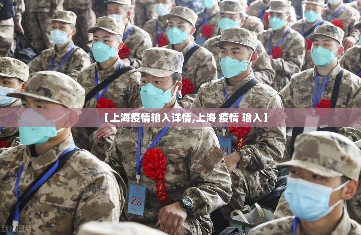 【上海疫情输入详情,上海 疫情 输入】