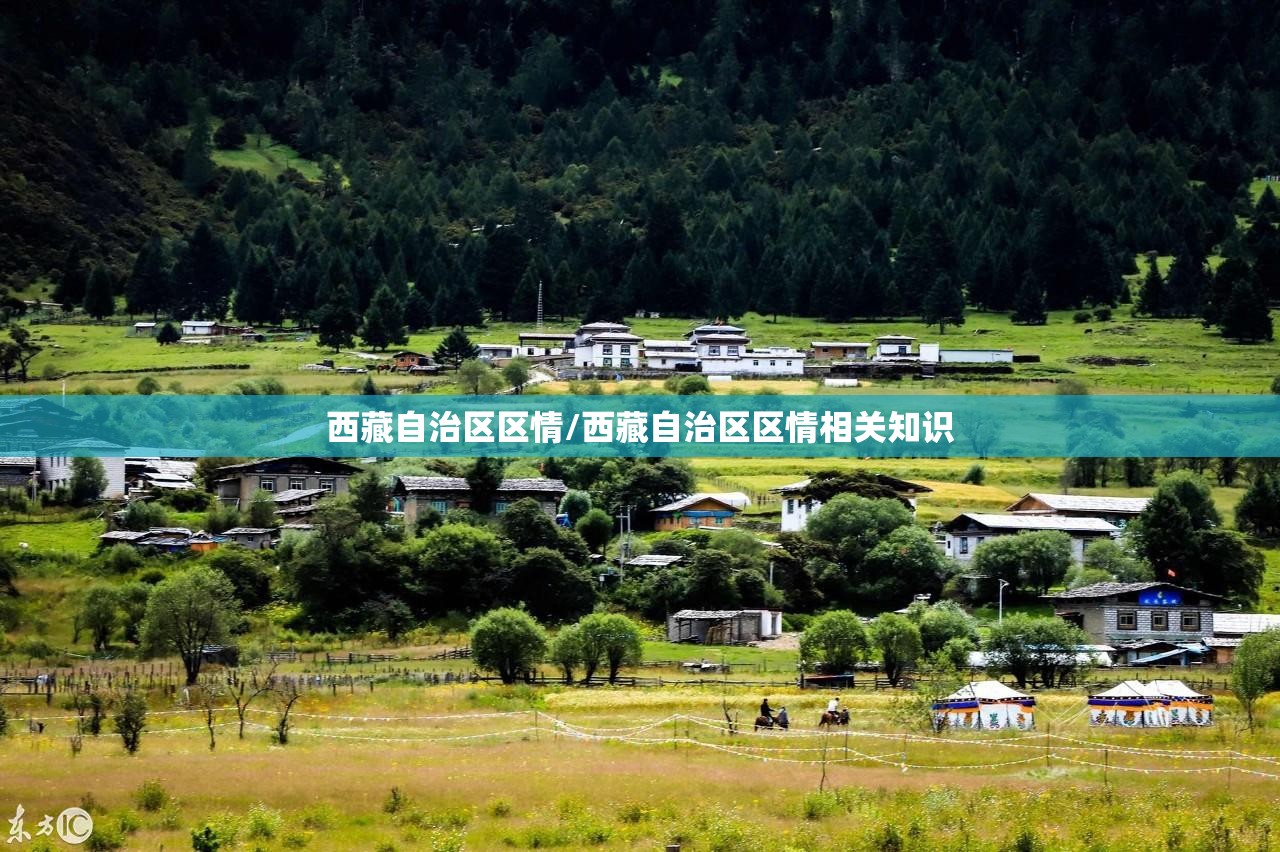 西藏自治区区情/西藏自治区区情相关知识