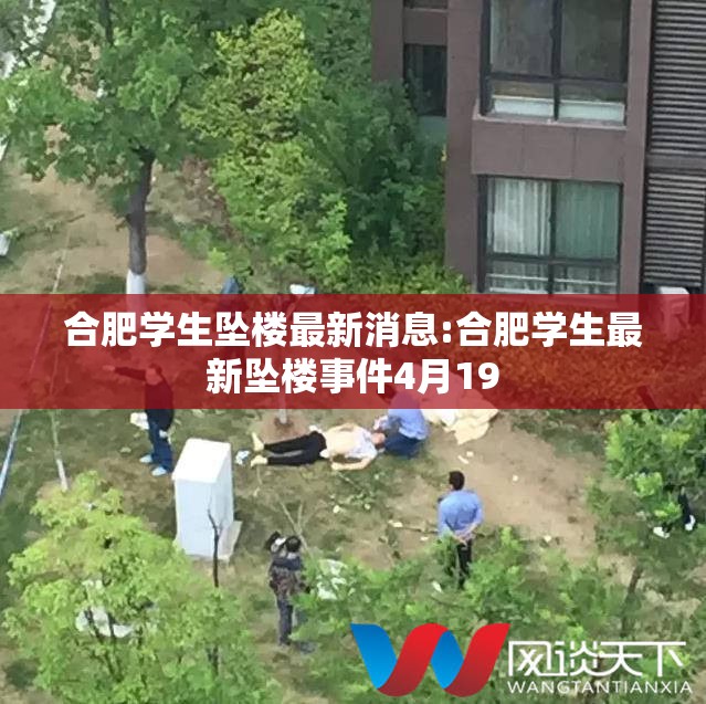 合肥学生坠楼最新消息:合肥学生最新坠楼事件4月19