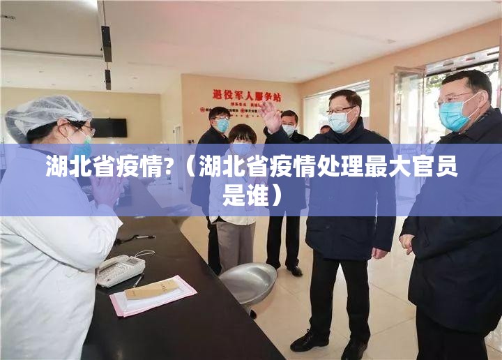 湖北省疫情?（湖北省疫情处理最大官员是谁）