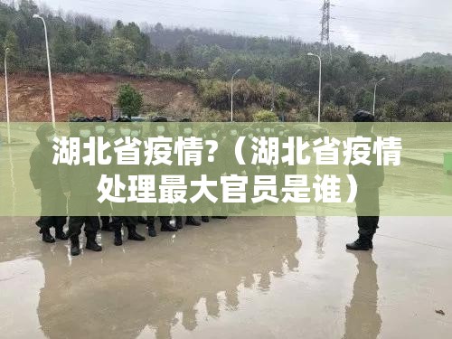 湖北省疫情?（湖北省疫情处理最大官员是谁）