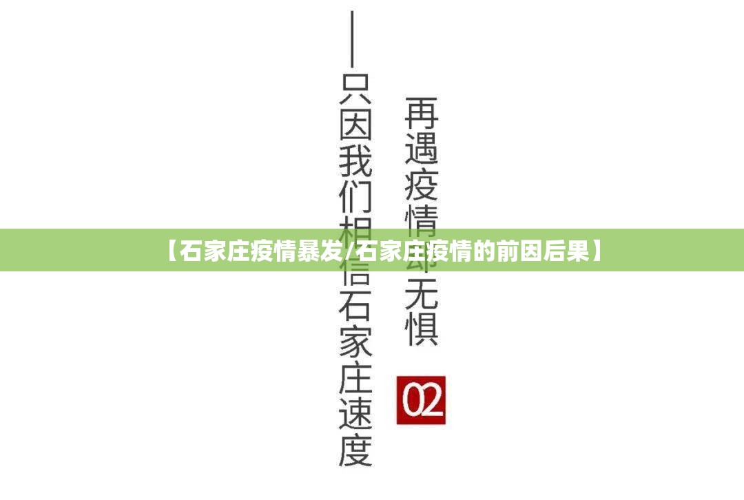 【石家庄疫情暴发/石家庄疫情的前因后果】