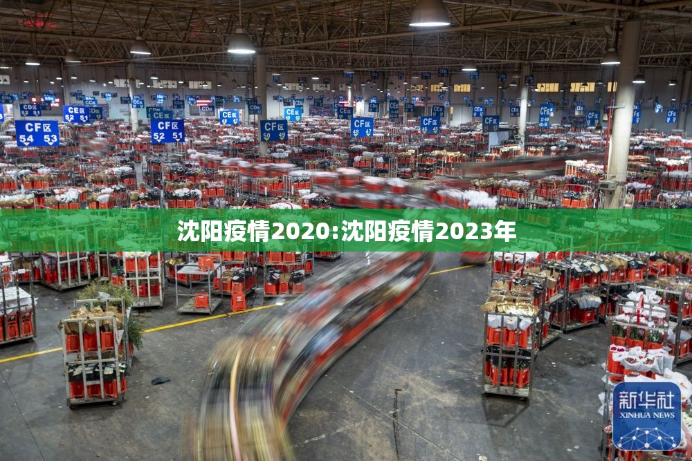 沈阳疫情2020:沈阳疫情2023年
