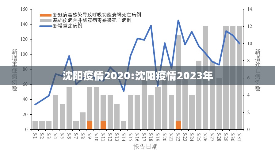 沈阳疫情2020:沈阳疫情2023年