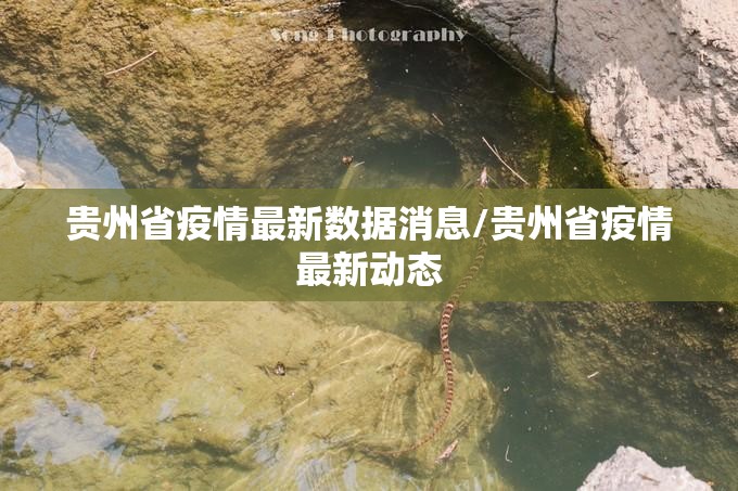 贵州省疫情最新数据消息/贵州省疫情最新动态