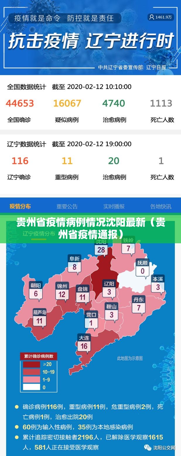 贵州省疫情病例情况沈阳最新（贵州省疫情通报）