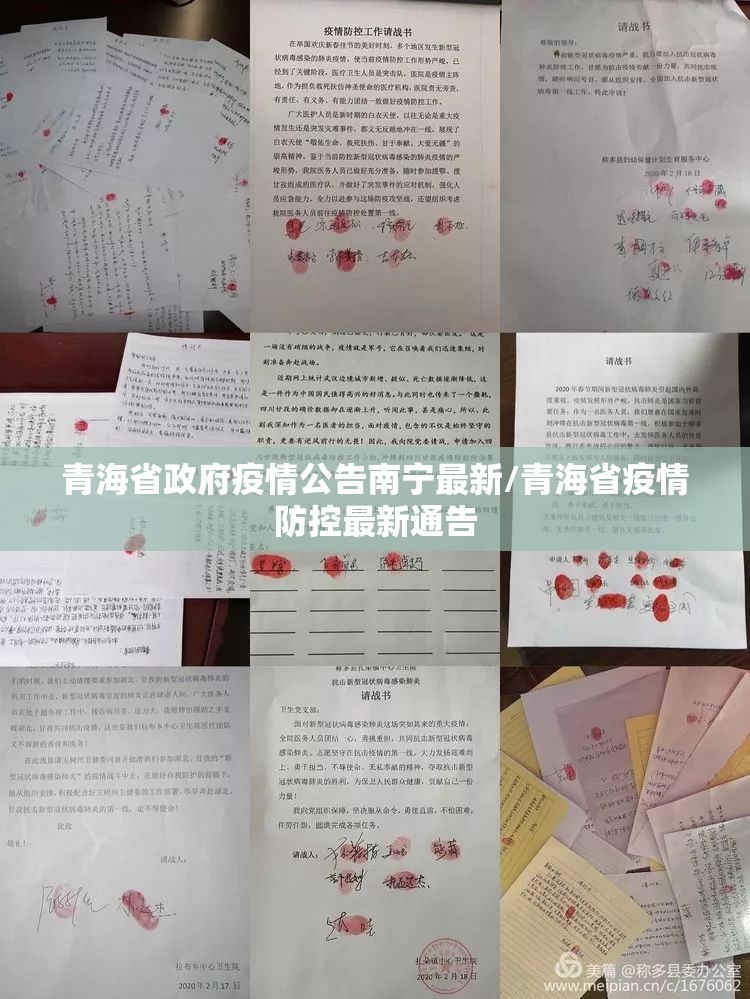 青海省政府疫情公告南宁最新/青海省疫情防控最新通告