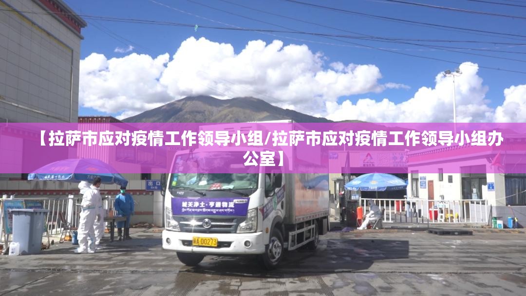 【拉萨市应对疫情工作领导小组/拉萨市应对疫情工作领导小组办公室】