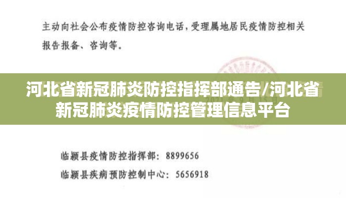 甘肃省疫情管控郑州最新消息/甘肃省疫情防控最新通知