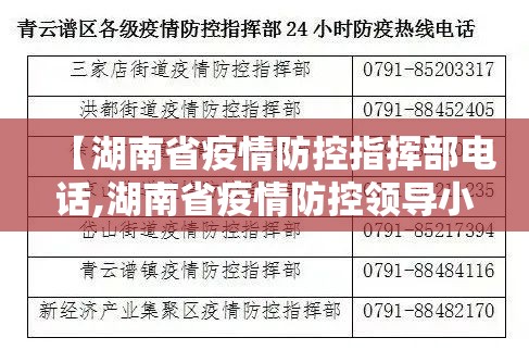 【湖南省疫情防控指挥部电话,湖南省疫情防控领导小组电话】