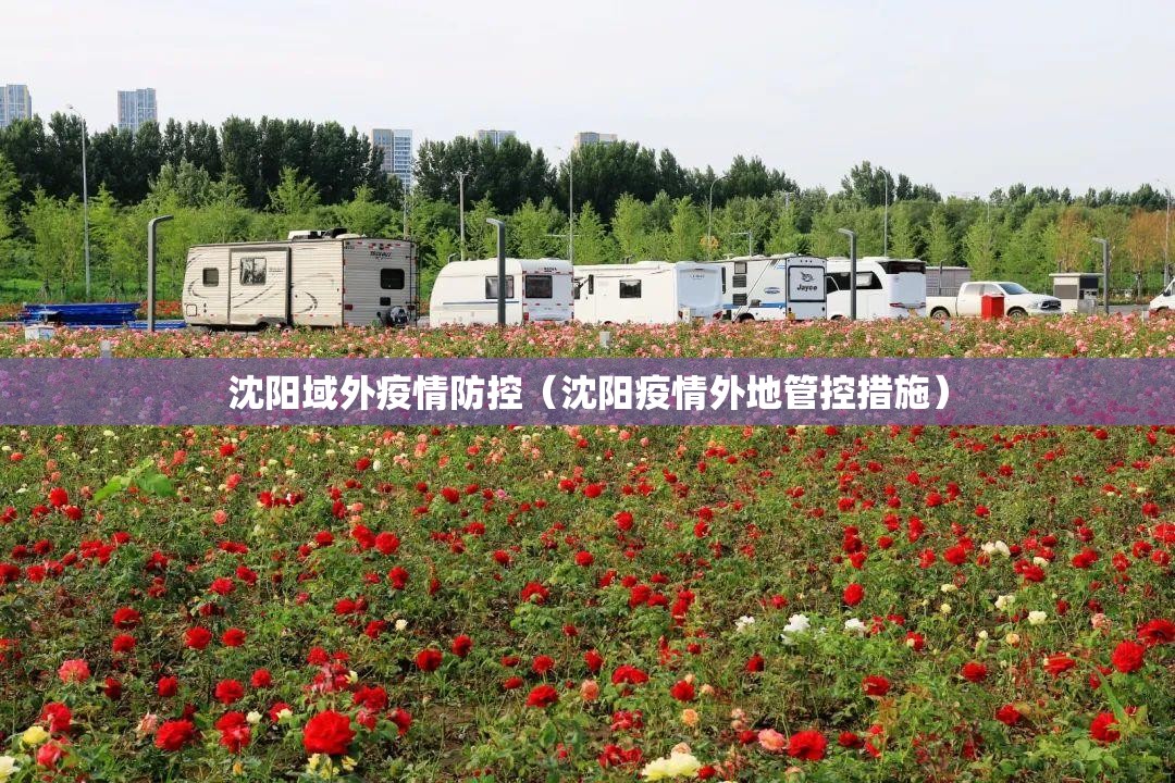 沈阳域外疫情防控（沈阳疫情外地管控措施）