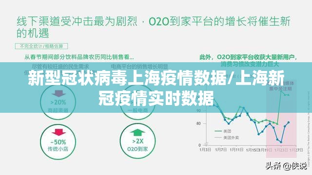 新型冠状病毒上海疫情数据/上海新冠疫情实时数据
