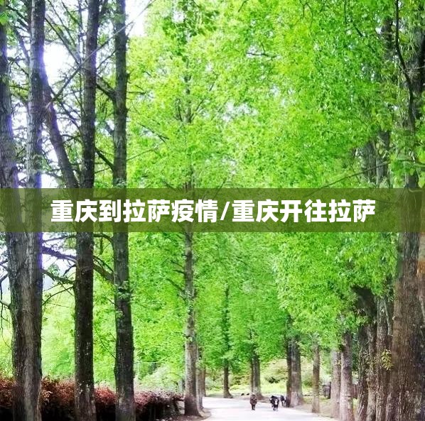 重庆到拉萨疫情/重庆开往拉萨