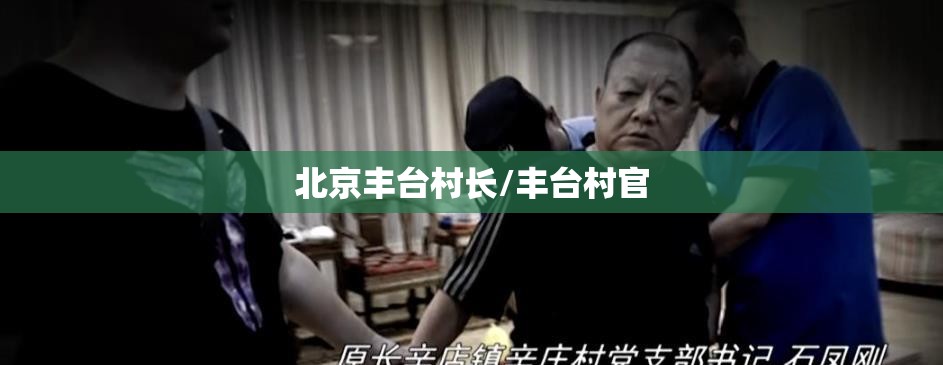 北京丰台村长/丰台村官