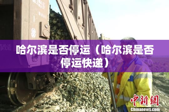 哈尔滨是否停运（哈尔滨是否停运快递）