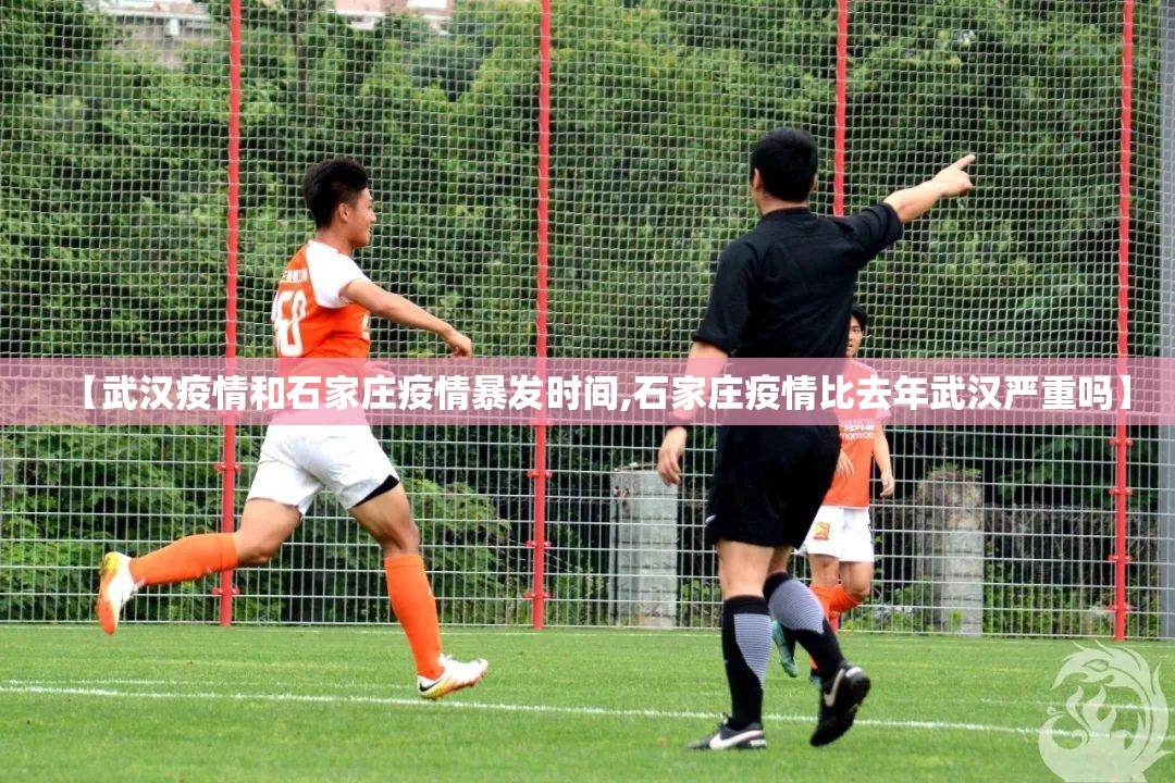 【武汉疫情和石家庄疫情暴发时间,石家庄疫情比去年武汉严重吗】