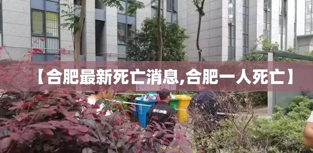 【合肥最新死亡消息,合肥一人死亡】