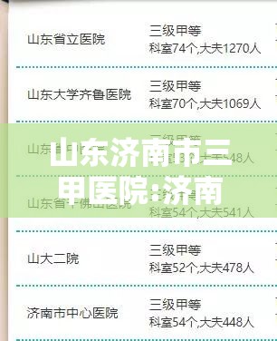 山东济南市三甲医院:济南 三甲