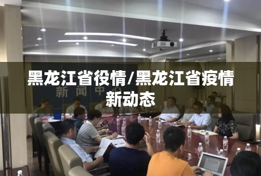 黑龙江省役情/黑龙江省疫情新动态