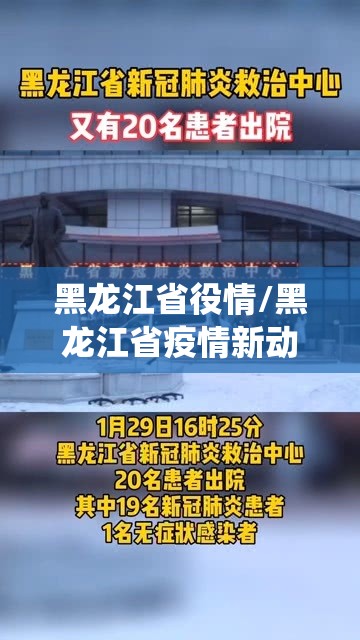 黑龙江省役情/黑龙江省疫情新动态
