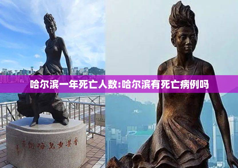 哈尔滨一年死亡人数:哈尔滨有死亡病例吗