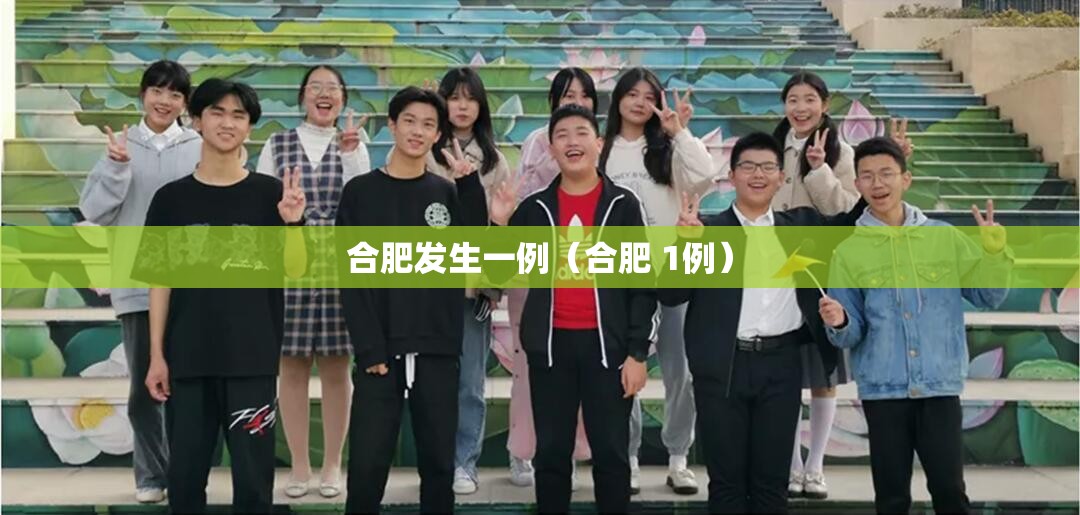 合肥发生一例（合肥 1例）